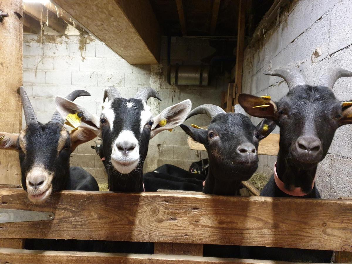Chambre D'Hotes A La Ferme Beaune  Eksteriør bilde